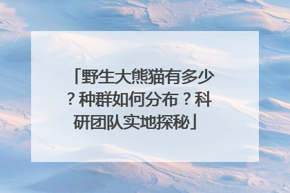 野生大熊猫有多少？种群如何分布？科研团队实地探秘