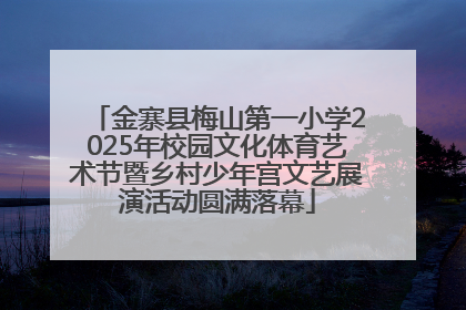 金寨县梅山第一小学2025年校园文化体育艺术节暨乡村少年宫文艺展演活动圆满落幕