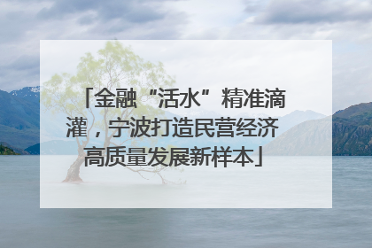 金融“活水”精准滴灌，宁波打造民营经济高质量发展新样本