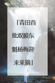 青田首批双膜东魁杨梅迎来采摘