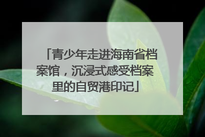 青少年走进海南省档案馆，沉浸式感受档案里的自贸港印记