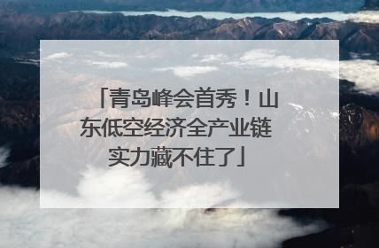 青岛峰会首秀！山东低空经济全产业链实力藏不住了