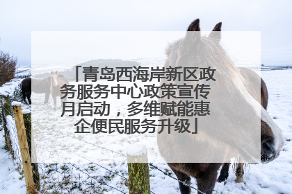 青岛西海岸新区政务服务中心政策宣传月启动，多维赋能惠企便民服务升级