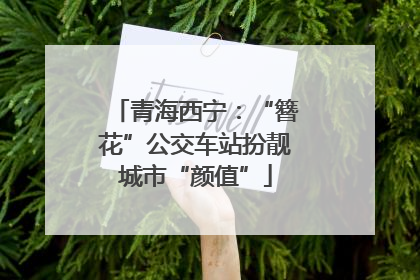 青海西宁：“簪花”公交车站扮靓城市“颜值”
