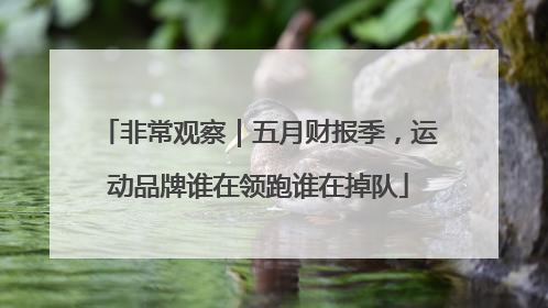 非常观察｜五月财报季，运动品牌谁在领跑谁在掉队