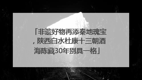 非遗好物再添秦地瑰宝，陕西白水杜康十三朝酒海陈藏30年别具一格