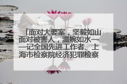 面对大要案，坚毅如山面对被害人，温婉如水——记全国先进工作者、上海市检察院经济犯罪检察部主任马玮玮