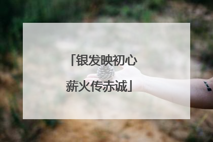 银发映初心 薪火传赤诚