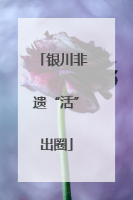 银川非遗“活”出圈