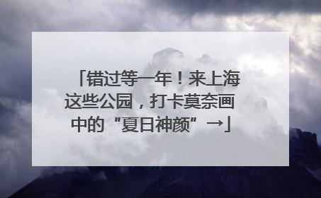 错过等一年！来上海这些公园，打卡莫奈画中的“夏日神颜”→