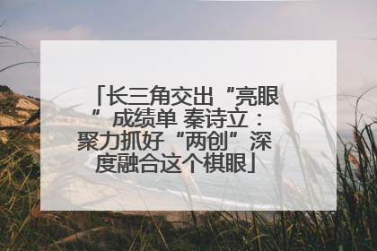 长三角交出“亮眼”成绩单 秦诗立：聚力抓好“两创”深度融合这个棋眼