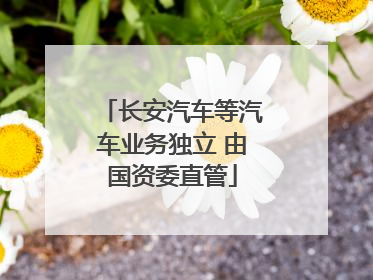 长安汽车等汽车业务独立 由国资委直管