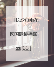 长沙市雨花区国际传播联盟成立