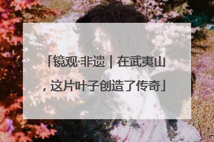 镜观·非遗｜在武夷山，这片叶子创造了传奇