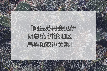 阿曼苏丹会见伊朗总统 讨论地区局势和双边关系