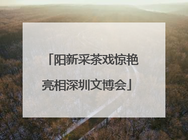 阳新采茶戏惊艳亮相深圳文博会