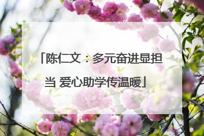 陈仁文：多元奋进显担当 爱心助学传温暖