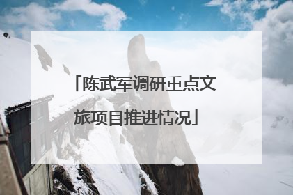 陈武军调研重点文旅项目推进情况