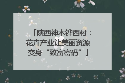 陕西神木铧西村：花卉产业让美丽资源变身“致富密码”