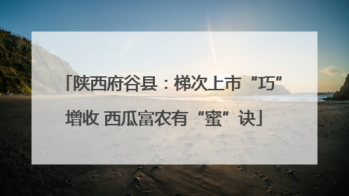 陕西府谷县：梯次上市“巧”增收 西瓜富农有“蜜”诀