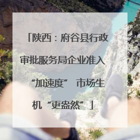 陕西：府谷县行政审批服务局企业准入“加速度” 市场生机“更盎然”