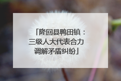 隆回县鸭田镇：三级人大代表合力调解矛盾纠纷