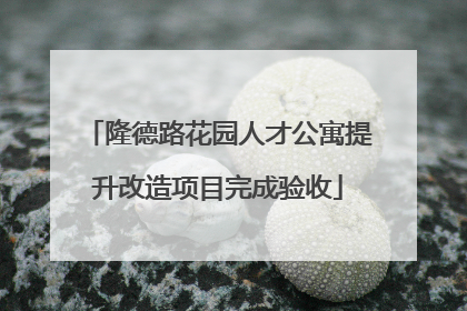 隆德路花园人才公寓提升改造项目完成验收
