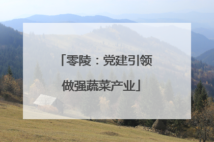 零陵：党建引领 做强蔬菜产业