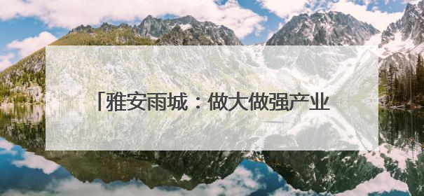 雅安雨城：做大做强产业支撑 推动高质量发展