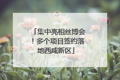 集中亮相丝博会！多个项目签约落地西咸新区