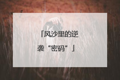 风沙里的逆袭“密码”