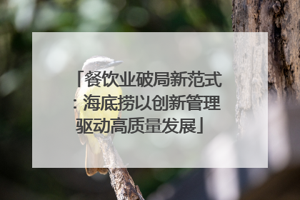 餐饮业破局新范式：海底捞以创新管理驱动高质量发展