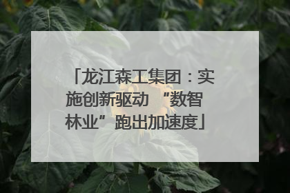 龙江森工集团：实施创新驱动 “数智林业”跑出加速度