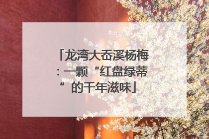 龙湾大岙溪杨梅：一颗“红盘绿蒂”的千年滋味
