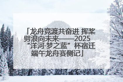 龙舟竞渡共奋进 挥桨劈浪向未来——2025“洋河·梦之蓝”杯宿迁端午龙舟赛侧记