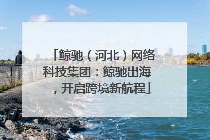 鲸驰（河北）网络科技集团：鲸驰出海，开启跨境新航程