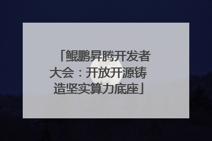 鲲鹏昇腾开发者大会：开放开源铸造坚实算力底座