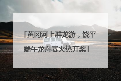 黄冈河上群龙游，饶平端午龙舟赛火热开桨