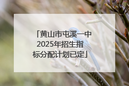 黄山市屯溪一中2025年招生指标分配计划已定