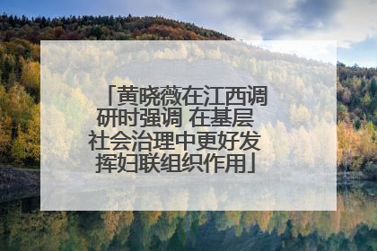 黄晓薇在江西调研时强调 在基层社会治理中更好发挥妇联组织作用