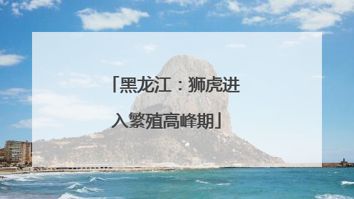 黑龙江：狮虎进入繁殖高峰期