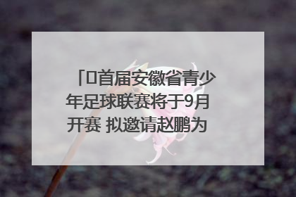 ﻿首届安徽省青少年足球联赛将于9月开赛 拟邀请赵鹏为先导赛开球