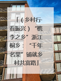 （乡村行·看振兴）“槜李之乡”浙江桐乡：“千年名果”铺就乡村共富路