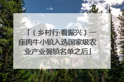 （乡村行·看振兴）一座肉牛小镇入选国家级农业产业强镇名单之后