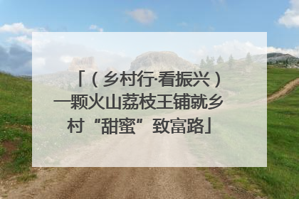 （乡村行·看振兴）一颗火山荔枝王铺就乡村“甜蜜”致富路