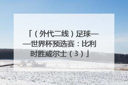 （外代二线）足球——世界杯预选赛：比利时胜威尔士（3）