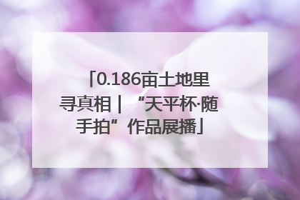 0.186亩土地里寻真相｜“天平杯·随手拍”作品展播
