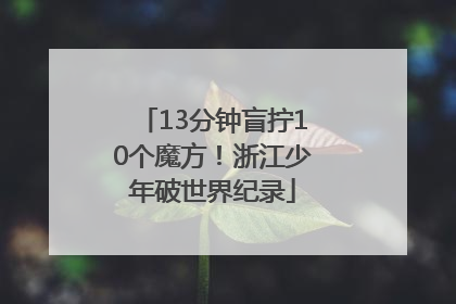 13分钟盲拧10个魔方！浙江少年破世界纪录