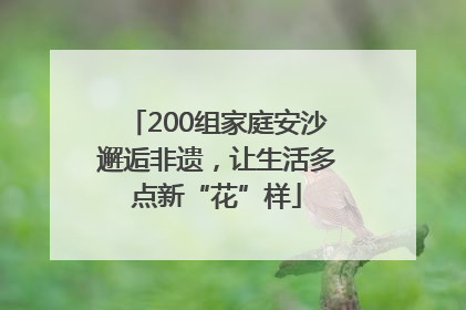 200组家庭安沙邂逅非遗，让生活多点新“花”样