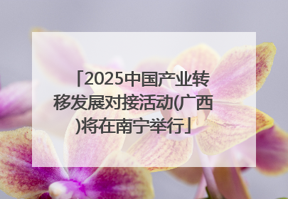 2025中国产业转移发展对接活动(广西)将在南宁举行